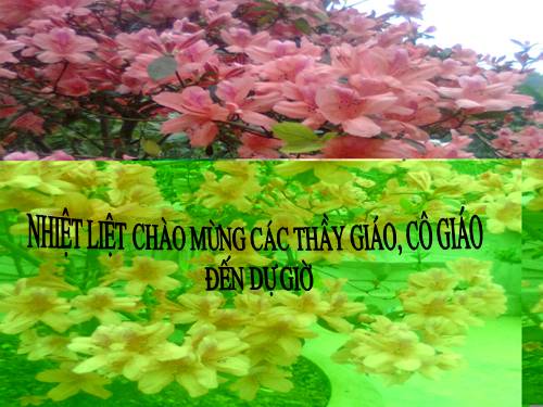 Bài 8. Lục Vân Tiên cứu Kiều Nguyệt Nga