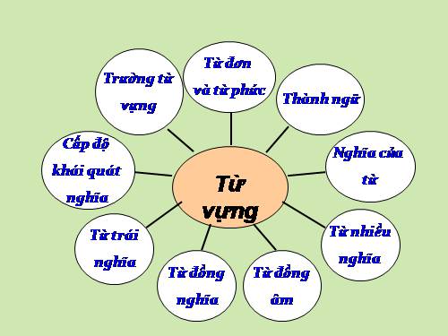 Bài 10. Tổng kết về từ vựng (Sự phát triển của từ vựng,... trau dồi vốn từ)