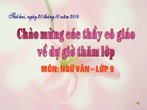 Bài 6. Cảnh ngày xuân