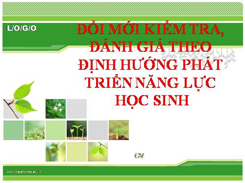 Chuyên đề kiểm tra đánh giá theo định hướng phát triển năng lực môn Ngữ Văn