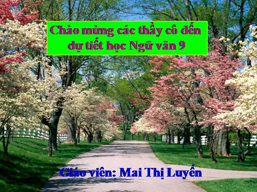 Bài 6. Cảnh ngày xuân
