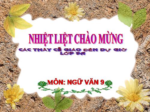 Bài 6. Chị em Thúy Kiều