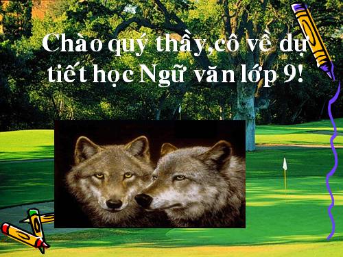 Bài 31. Con chó Bấc