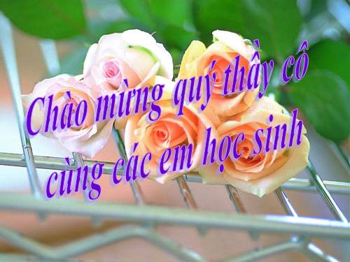 Bài 29. Rô-bin-xơn ngoài đảo hoang