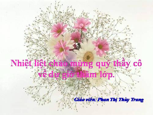 Bài 27. Ôn tập phần Tiếng Việt (Khởi ngữ, Các thành phần biệt lập,...)
