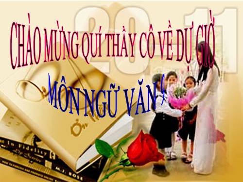 Bài 10. Tổng kết về từ vựng (Sự phát triển của từ vựng,... trau dồi vốn từ)