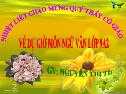 Bài 11. Tổng kết về từ vựng (Từ tượng thanh, tượng hình, một số phép tu từ từ vựng)
