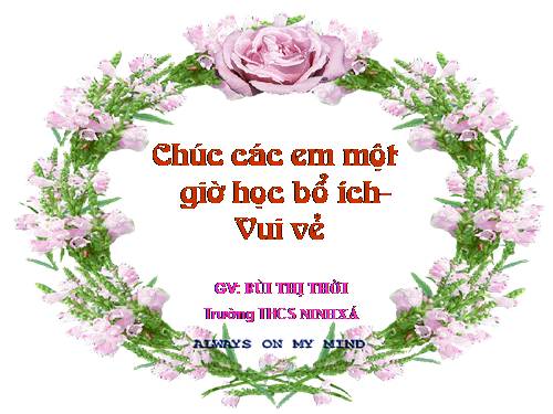 Bài 15. Chiếc lược ngà