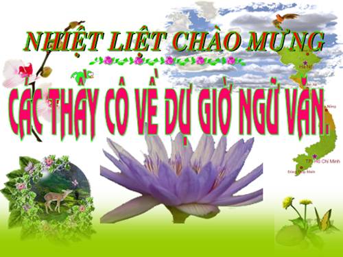Bài 28. Những ngôi sao xa xôi