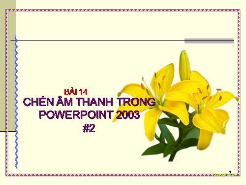 cai hang lanh