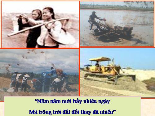 Bài 11. Đoàn thuyền đánh cá