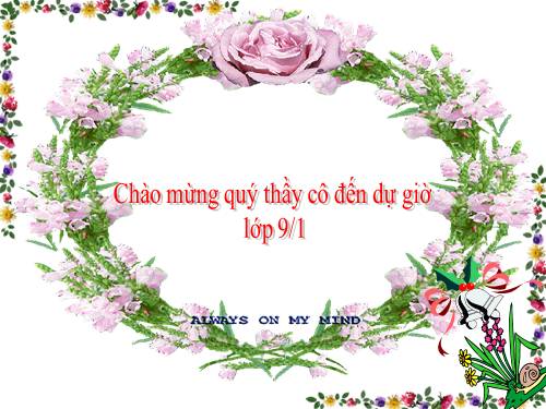 Bài 10. Bài thơ về tiểu đội xe không kính