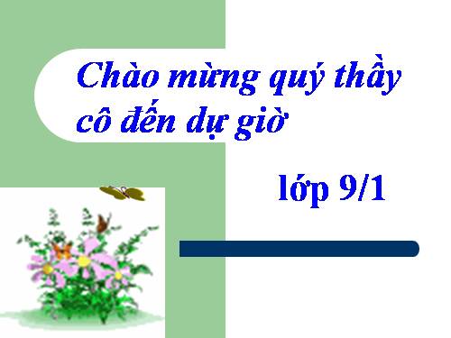 Bài 14. Ôn tập phần Tiếng Việt (Các phương châm hội thoại)