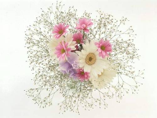 Bài 15. Chiếc lược ngà