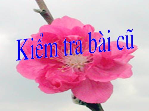 Bài 21. Chó sói và cừu trong thơ ngụ ngôn của La Phông-ten