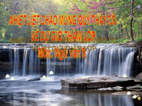 Bài 6. Thuật ngữ