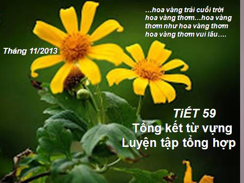 Bài 12. Tổng kết về từ vựng (Luyện tập tổng hợp)