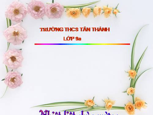 Bài 12. Tổng kết về từ vựng (Luyện tập tổng hợp)