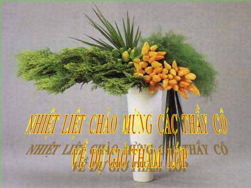 Bài 2. Các phương châm hội thoại (tiếp theo)