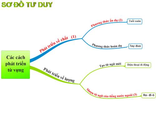 Bài 4. Sự phát triển của từ vựng