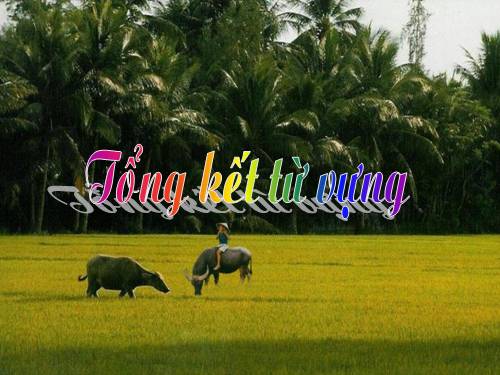 Bài 10. Tổng kết về từ vựng (Sự phát triển của từ vựng,... trau dồi vốn từ)