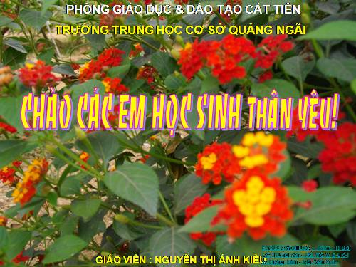 Bài 10. Bài thơ về tiểu đội xe không kính