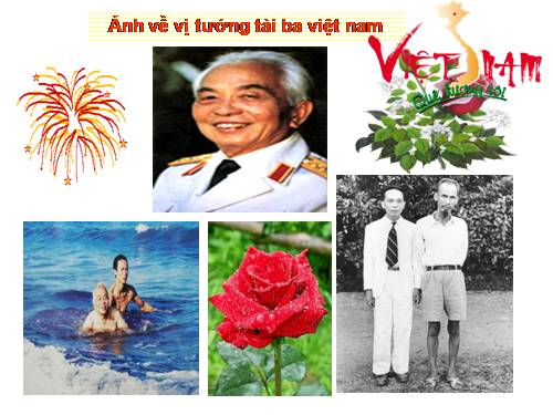 Lịch sử