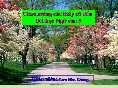 Bài 10. Tổng kết về từ vựng (Sự phát triển của từ vựng,... trau dồi vốn từ)