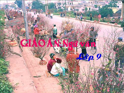 Bài 6. Cảnh ngày xuân