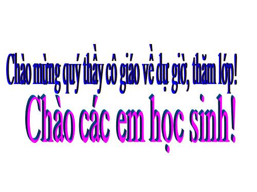 Bài 6. Thuật ngữ
