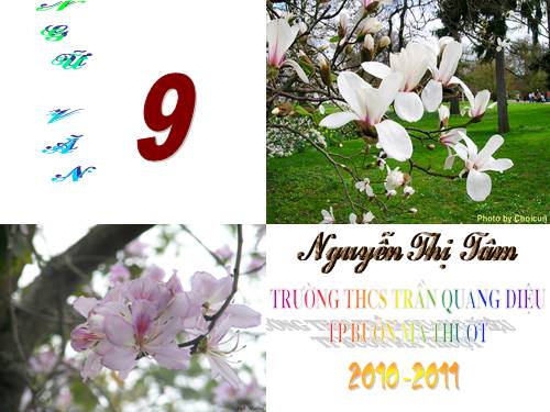 Bài 10. Bài thơ về tiểu đội xe không kính