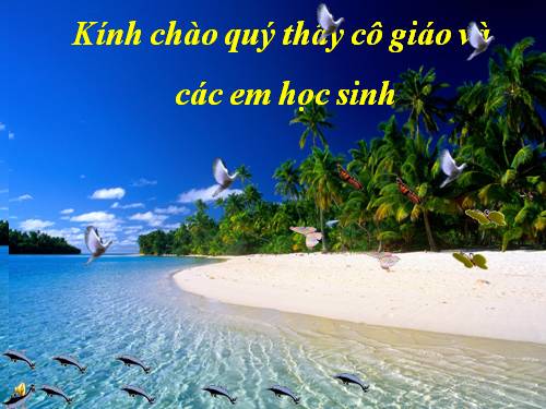 Bài 9. Tổng kết về từ vựng (Từ đơn, từ phức,... từ nhiều nghĩa; Từ đồng âm,... trường từ vựng)