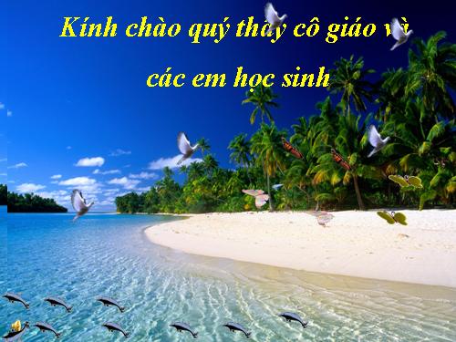 Bài 9. Tổng kết về từ vựng (Từ đơn, từ phức,... từ nhiều nghĩa; Từ đồng âm,... trường từ vựng)