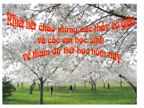 Bài 27. Ôn tập phần Tiếng Việt (Khởi ngữ, Các thành phần biệt lập,...)