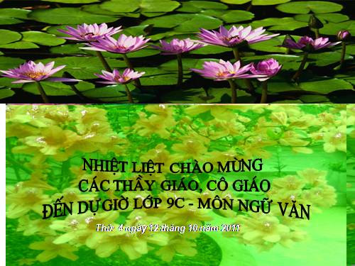 Bài 8. Lục Vân Tiên cứu Kiều Nguyệt Nga