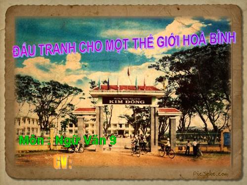 Bài 2. Đấu tranh cho một thế giới hoà bình
