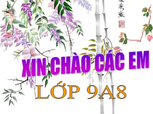 Bài 30. Bố của Xi-mông