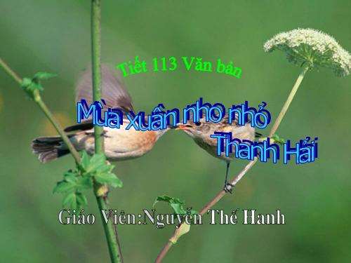Bài 23. Mùa xuân nho nhỏ