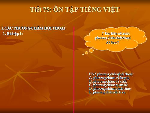 Bài 14. Ôn tập phần Tiếng Việt (Các phương châm hội thoại)