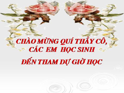 Bài 26. Tổng kết phần văn bản nhật dụng