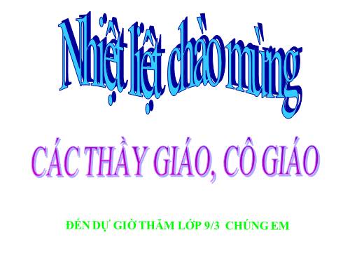 Bài 9. Tổng kết về từ vựng (Từ đơn, từ phức,... từ nhiều nghĩa; Từ đồng âm,... trường từ vựng)