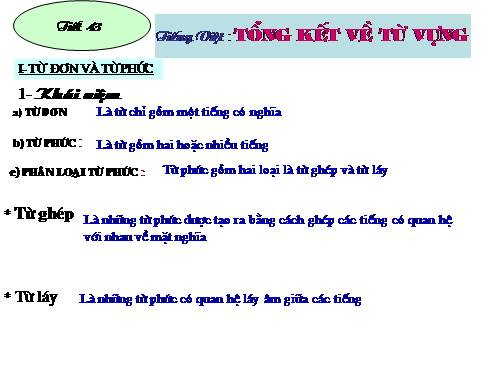 Bài 9. Tổng kết về từ vựng (Từ đơn, từ phức,... từ nhiều nghĩa; Từ đồng âm,... trường từ vựng)