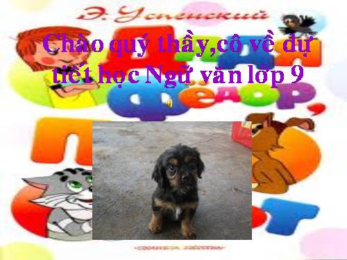 Bài 31. Con chó Bấc