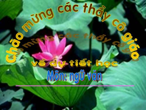 Bài 23. Viếng lăng Bác