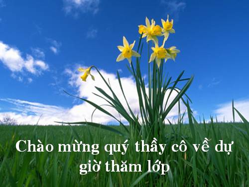 Bài 16. Cố hương