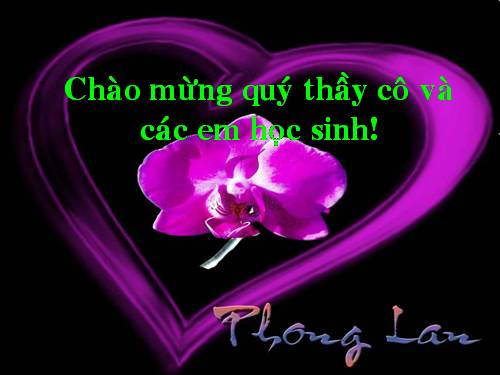 Bài 20. Các thành phần biệt lập (tiếp theo)