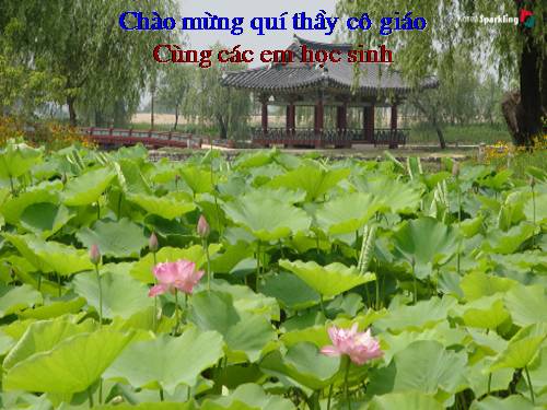 Bài 29. Rô-bin-xơn ngoài đảo hoang