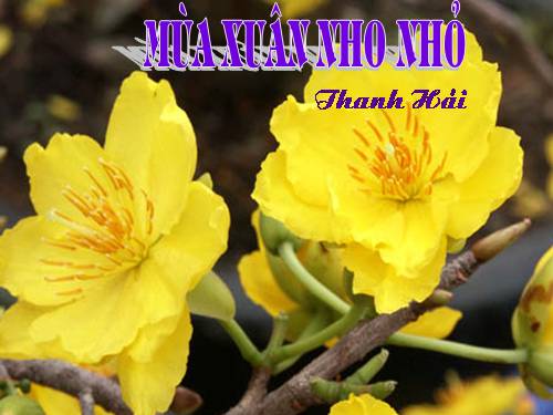 Bài 23. Mùa xuân nho nhỏ