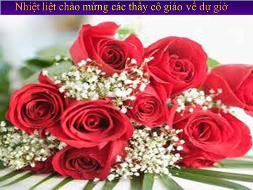 Bài 26. Tổng kết phần văn bản nhật dụng