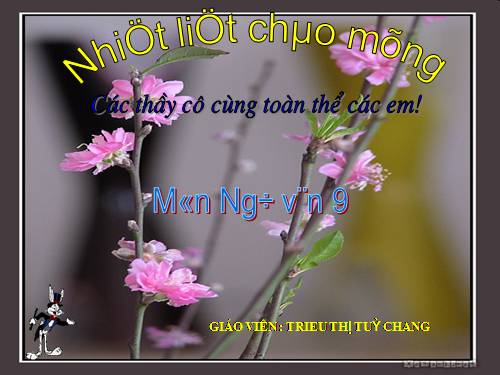 Bài 28. Những ngôi sao xa xôi